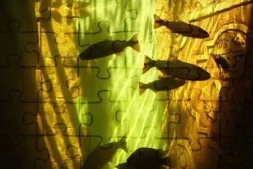 En Montecarlo. Misiones. Argentina jigsaw puzzle