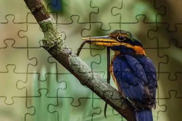 . jigsaw puzzle