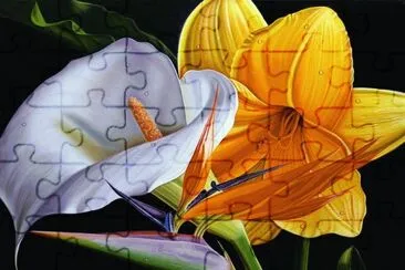 Oil Painting