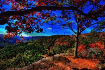 Natureza