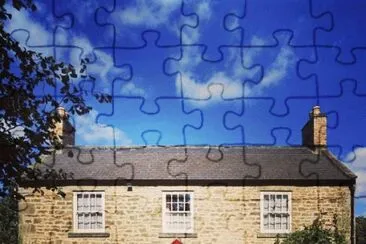 290 jigsaw puzzle