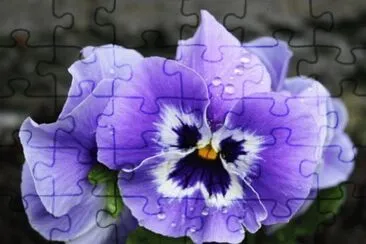 pensÃ©e jigsaw puzzle