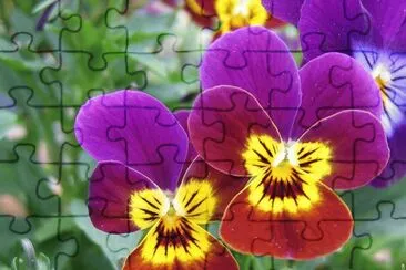 pensÃ©e jigsaw puzzle