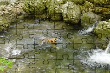 lina jigsaw puzzle
