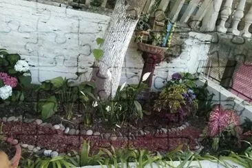 jardin jigsaw puzzle