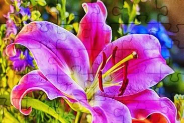 Amazing Flowers