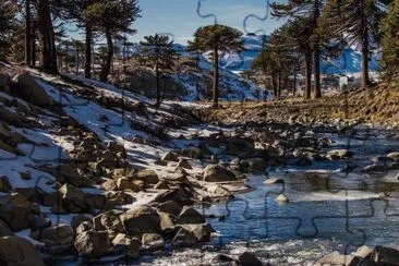 Caviahue. NeuquÃ©n. Argentina jigsaw puzzle