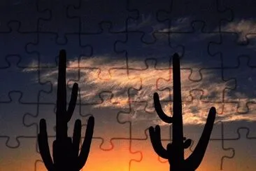 desert sunset jigsaw puzzle