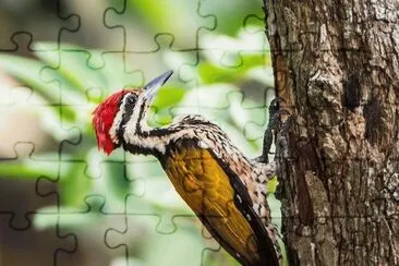 . jigsaw puzzle