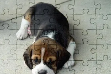 hermoso