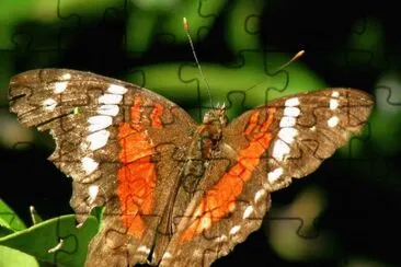 . jigsaw puzzle