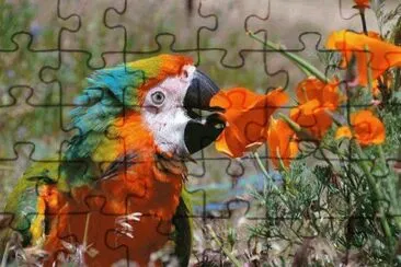 . jigsaw puzzle
