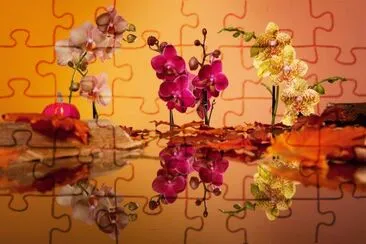 orq 4 jigsaw puzzle