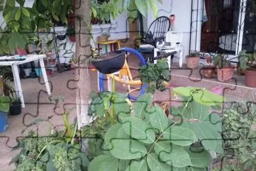 פאזל של jardin