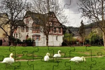 315 jigsaw puzzle