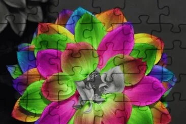 Fantastic jigsaw puzzle