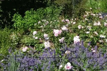 Sommer jigsaw puzzle