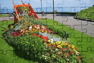 flores