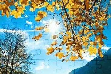 324 jigsaw puzzle