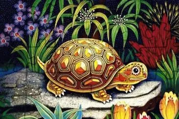 Turtle by K Chin