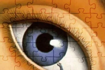 curiositÃ  jigsaw puzzle