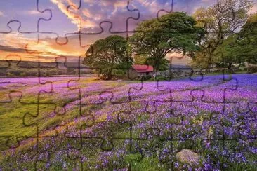 NÂº 1209 jigsaw puzzle