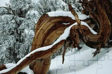 פאזל של Winter_Art