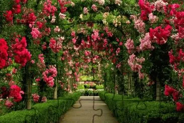 pÃ©rgola jigsaw puzzle