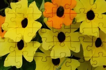 ojos de poeta jigsaw puzzle
