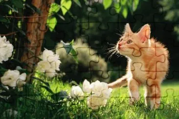 pequeÃ±o jigsaw puzzle