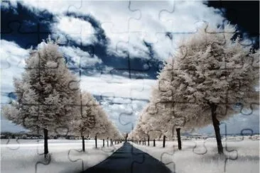 winter-93