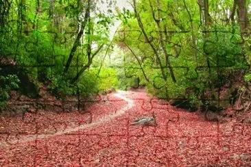 Yerba Buena. TucumÃ¡n. Argentina