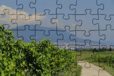 vignoble neuchÃ¢telois