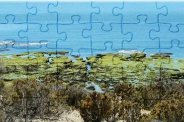Punta Norte. PenÃ­nsula de ValdÃ©s. Chubut. Argentina jigsaw puzzle