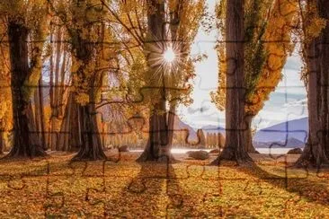 369 jigsaw puzzle
