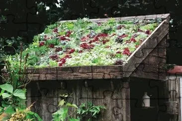casa jigsaw puzzle