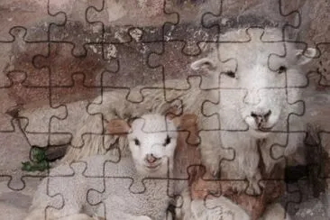 con su bebÃ© jigsaw puzzle