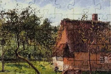 224
