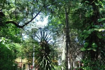 En San Miguel del TucumÃ¡n. Argentina