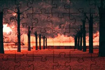 Line-of-Trees-in-red-a19561077 jigsaw puzzle