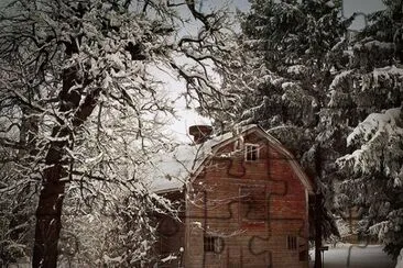 winter 8