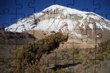 PN Sajama. Oruro. Bolivia