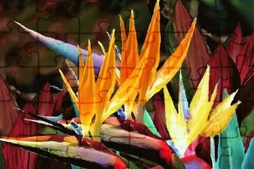 Bird of Paradise jigsaw puzzle