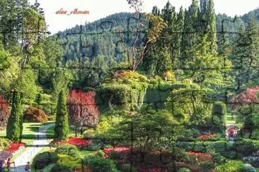  jigsaw puzzle