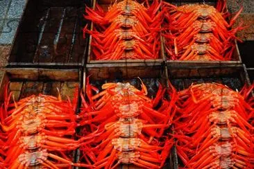 Crab jigsaw puzzle