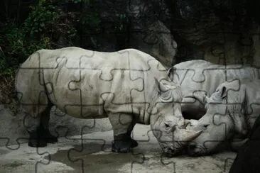 Rhinoceros jigsaw puzzle