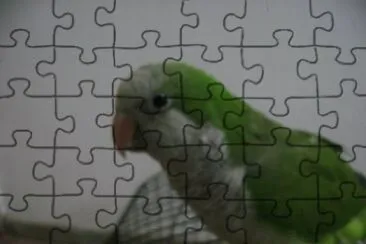 rociomatias jigsaw puzzle