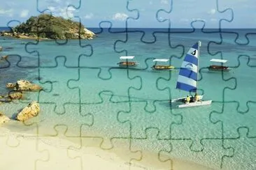 liz jigsaw puzzle