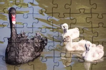 DoÃ±a Cisne y familia jigsaw puzzle