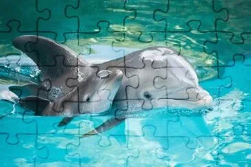 EL ATLÃNTICO  MI PAÃS NATAL jigsaw puzzle